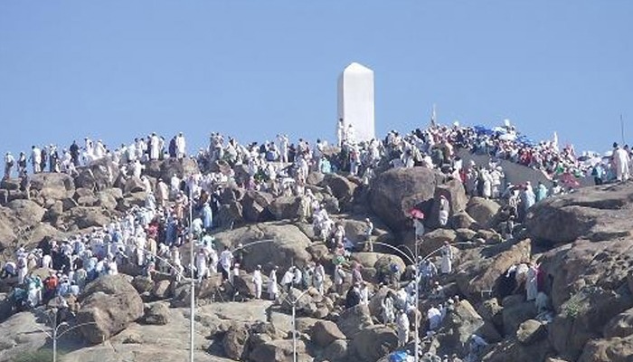 Amaliyah di Bulan Dzulhijjah